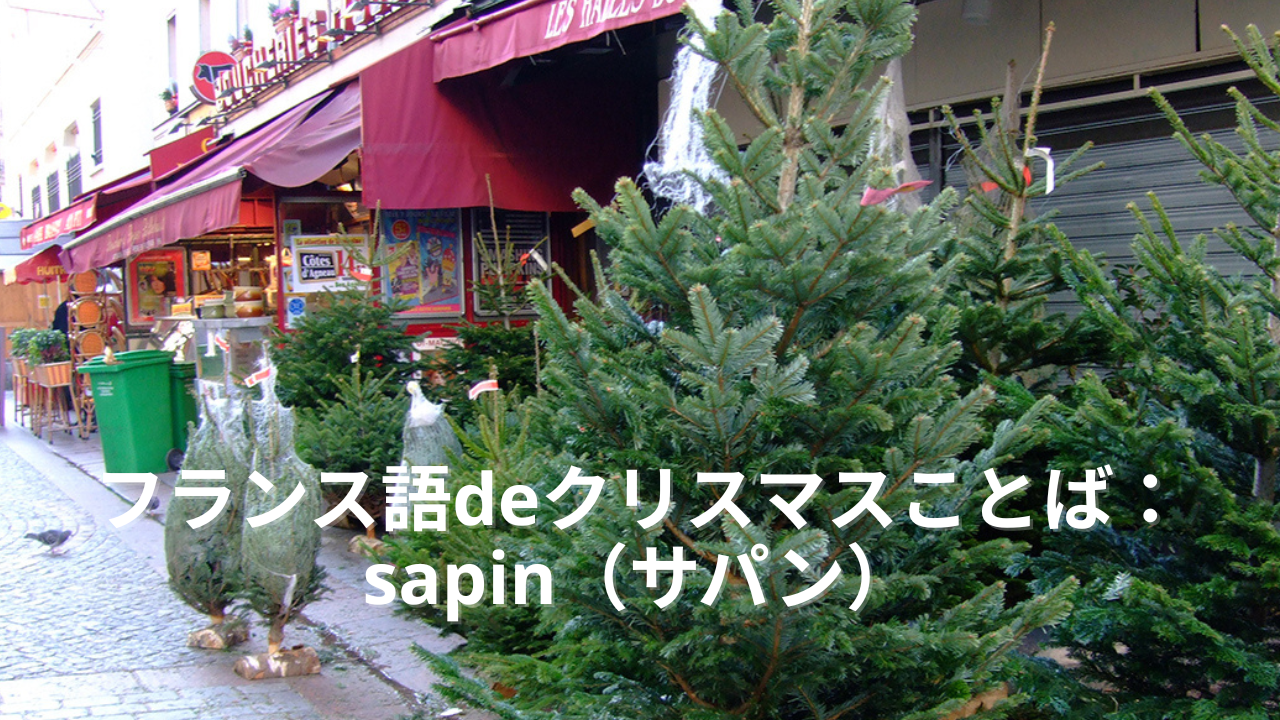 パリの街角に並ぶクリスマスツリー（sapin de Noël）の写真