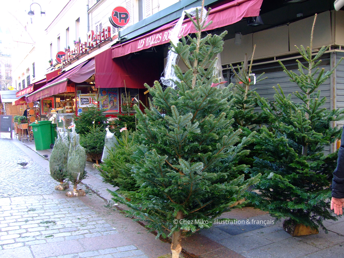 パリの街角に並ぶクリスマスツリー（sapin de Noël）の写真
